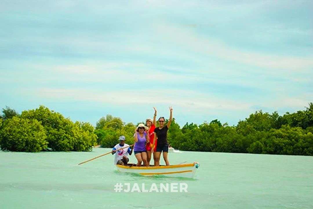 Pulau Pari Mangrove